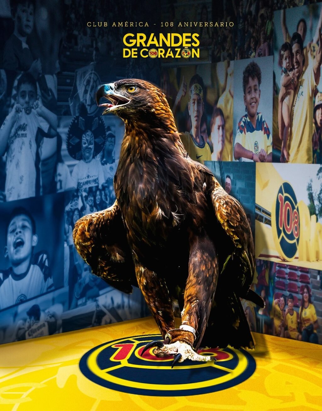 Aguilas