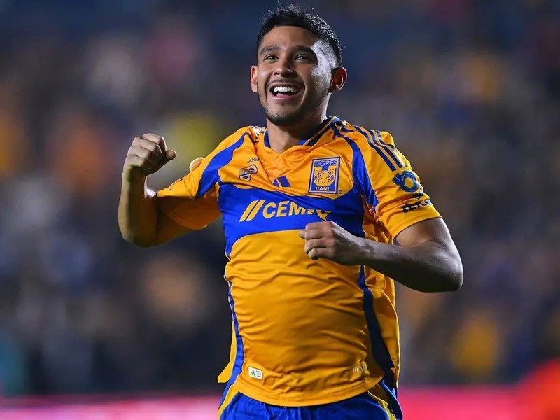 Tigres