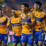 Tigres