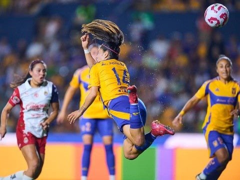 Tigres Femenil