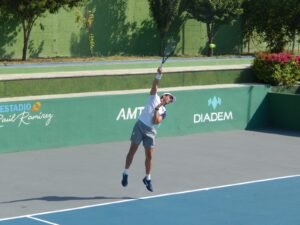 Tenis