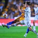 Tigres