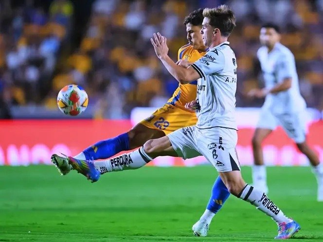 Tigres