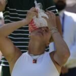 Wimblendon