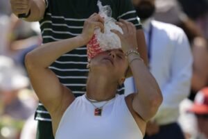Wimblendon