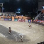 DSC05008