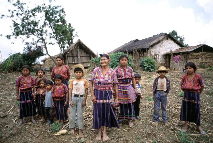 Indigenas