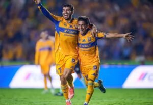 Tigres