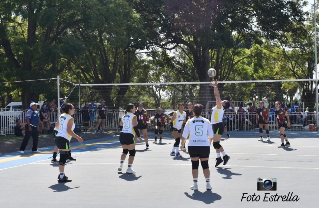 Voleibol6
