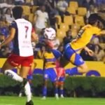 823e6bcb-d0d4-4aad-afe8-56a790e0a146