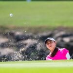 a520c066-2f25-4d93-becb-cce90e2ec075