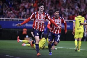 d8941a5e-0796-4215-88ff-c96ff989b4d9