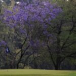 e9c3f0ae-2930-4698-b64d-5c15157aab8a