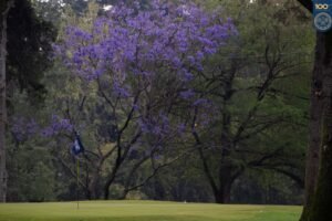 e9c3f0ae-2930-4698-b64d-5c15157aab8a