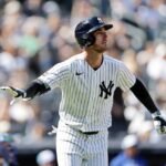 49905564-2b70-466a-b50f-5cfe8bdca3a9