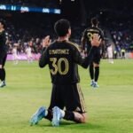 d58dc1bd-b89d-4ebf-8cd7-8b2cd3727c30